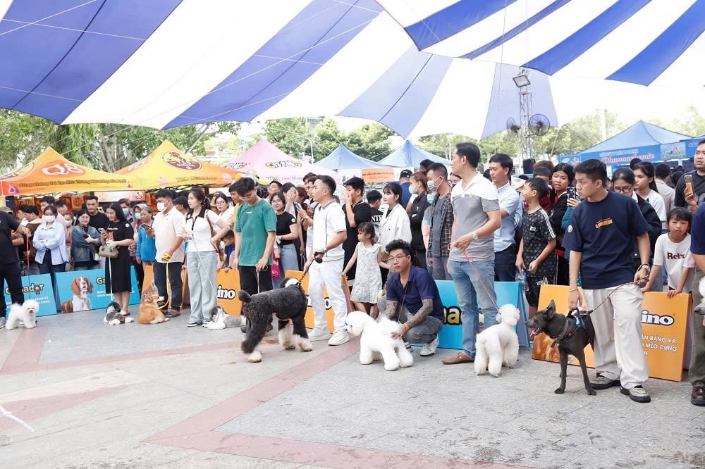 Ngày hội thú cưng thành phố Mỹ Tho thu hút hơn 1.000 thí sinh, khán giả tham dự. Ảnh: Minh Đảm. Ngày hội thú cưng thành phố Mỹ Tho thu hút hơn 1.000 thí sinh, khán giả tham dự. Ảnh: Minh Đảm.