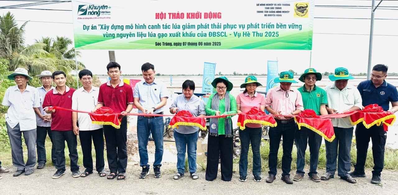 Khởi động dự án 'Xây dựng mô hình canh tác lúa giảm phát thải phục vụ phát triển bền vững vùng nguyên liệu lúa gạo xuất khẩu của ĐBSCL' vụ hè thu 2025 tại Sóc Trăng. Ảnh: Lê Hoàng Vũ.