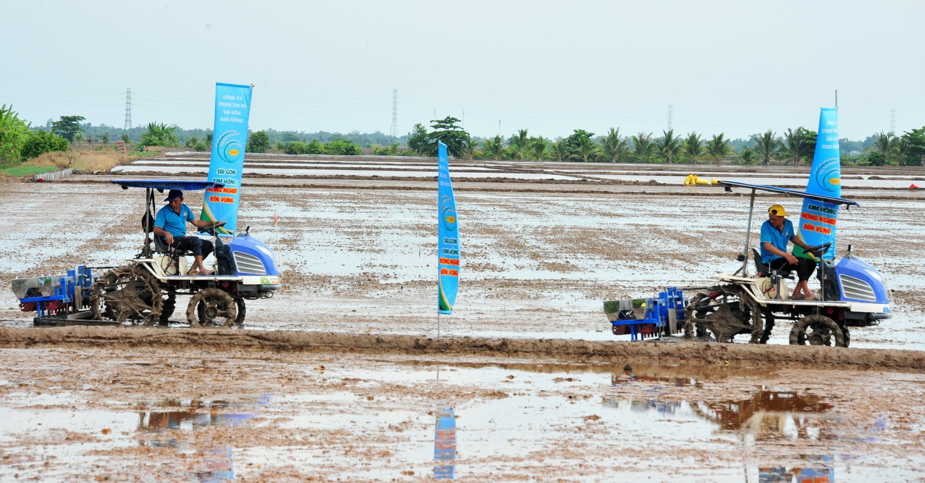 Đây là lần đầu tiên HTX nông nghiệp 1/5 tham gia mô hình canh tác lúa giảm phát thải, sử dụng máy sạ cụm, bón phân vùi hữu cơ. Ảnh: Lê Hoàng Vũ.