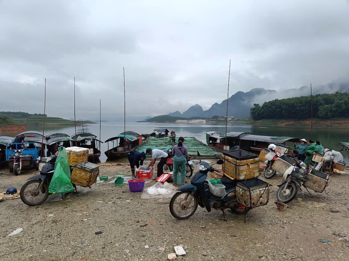 Bến cá ngày càng thưa vắng, chỉ còn lại những lái buôn nhỏ đến thu mua. Ảnh: Thanh Tiến. Bến cá ngày càng thưa vắng, chỉ còn lại những lái buôn nhỏ đến thu mua. Ảnh: Thanh Tiến.