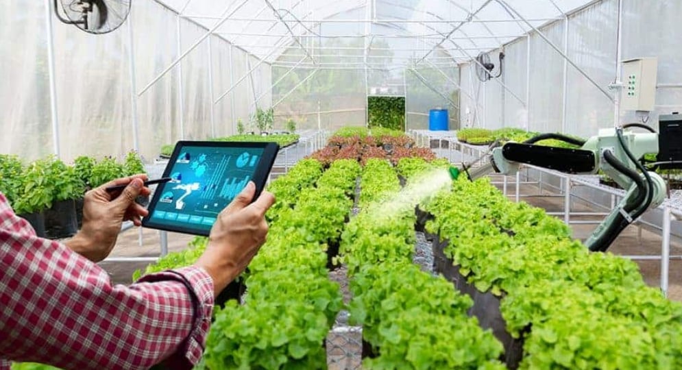 Cảm biến đất được lắp đặt trên cánh đồng giúp nông dân Úc và EU tiết kiệm nước tưới nhờ áp dụng Digital Twins và AI, nhất là trong các mùa hạn hán kéo dài. Ảnh minh họa. Cảm biến đất được lắp đặt trên cánh đồng giúp nông dân Úc và EU tiết kiệm nước tưới nhờ áp dụng Digital Twins và AI, nhất là trong các mùa hạn hán kéo dài. Ảnh minh họa.