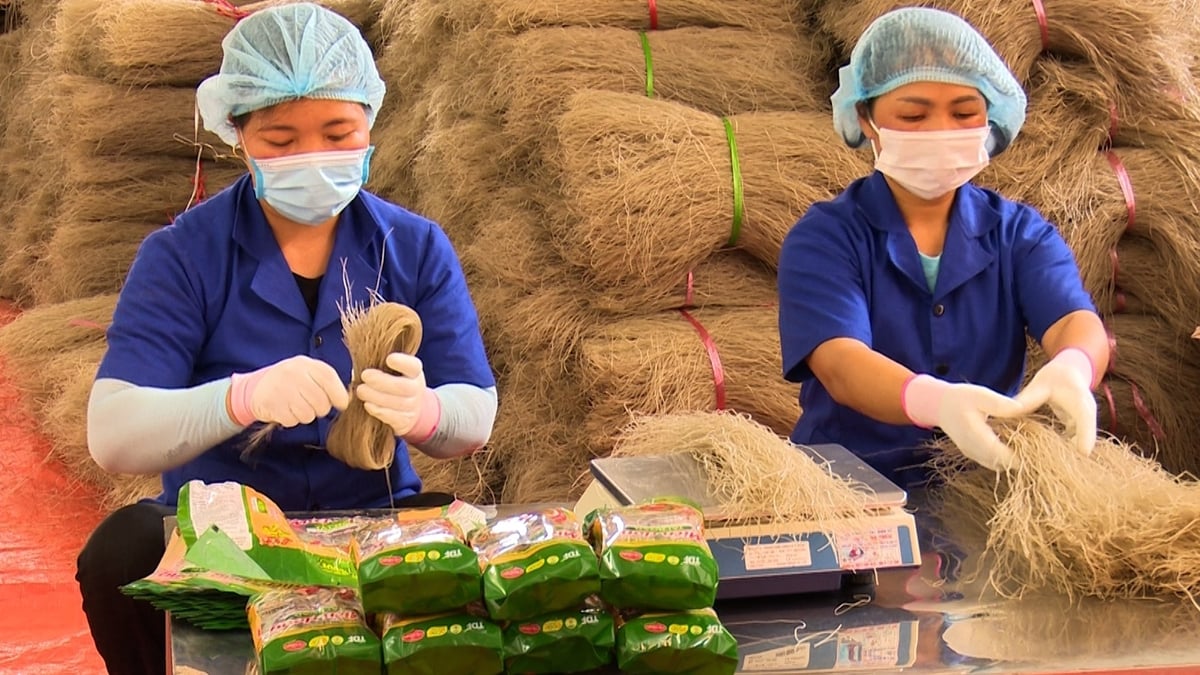 Nhiều HTX trên địa bàn huyện Na Rì đưa máy móc vào sản xuất tạo ra năng suất lao động ngày càng cao. Ảnh: Sơn Lâm. Nhiều HTX trên địa bàn huyện Na Rì đưa máy móc vào sản xuất tạo ra năng suất lao động ngày càng cao. Ảnh: Sơn Lâm.