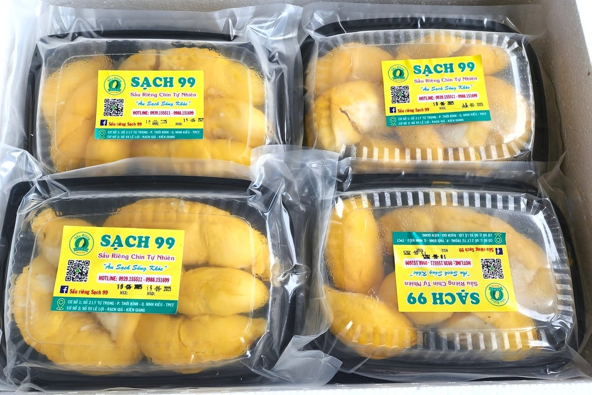 Cơm sầu riêng được đóng hộp, bảo quản lạnh trước khi đưa đi tiêu thụ. Ảnh: Kim Anh. Cơm sầu riêng được đóng hộp, bảo quản lạnh trước khi đưa đi tiêu thụ. Ảnh: Kim Anh.