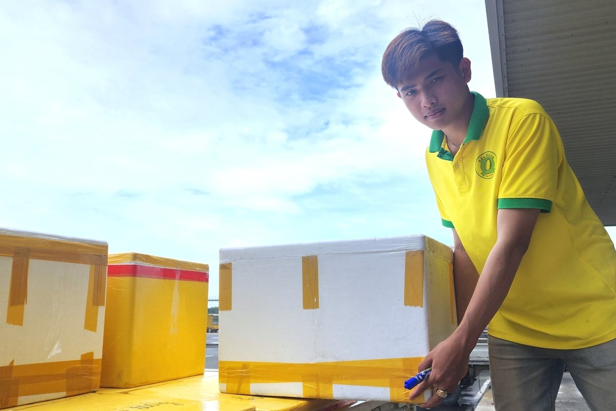 Sản phẩm cơm sầu riêng được đóng gói chắc chắn, chuẩn bị đưa đi tiêu thụ. Ảnh: Kim Anh. Sản phẩm cơm sầu riêng được đóng gói chắc chắn, chuẩn bị đưa đi tiêu thụ. Ảnh: Kim Anh.