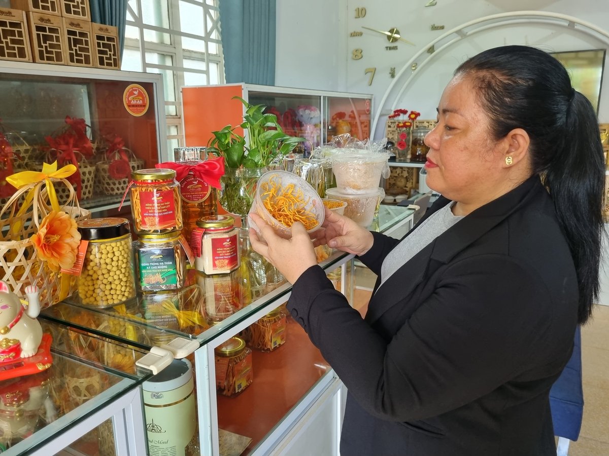 Chị Lưu Thị Xuân An đã khởi nghiệp thành công mô hình Đông Trùng Hạ Thảo. Ảnh: ĐB. Chị Lưu Thị Xuân An đã khởi nghiệp thành công mô hình Đông Trùng Hạ Thảo. Ảnh: ĐB.