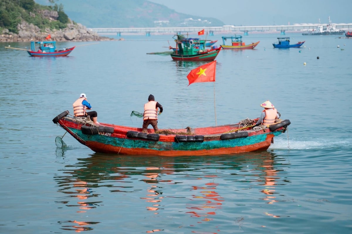 Hoạt động dọn dẹp vịnh Nghi Sơn. Ảnh: NS. Hoạt động dọn dẹp vịnh Nghi Sơn. Ảnh: NS.