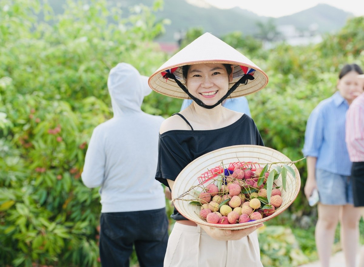 Chị Nguyễn Thị Như Quỳnh, giáo viên tại thành phố Bắc Giang rạng rỡ trong vườn vải VietGAP tại xã Giáp Sơn, huyện Lục Ngạn. Ảnh: Phạm Minh. Chị Nguyễn Thị Như Quỳnh, giáo viên tại thành phố Bắc Giang rạng rỡ trong vườn vải VietGAP tại xã Giáp Sơn, huyện Lục Ngạn. Ảnh: Phạm Minh.