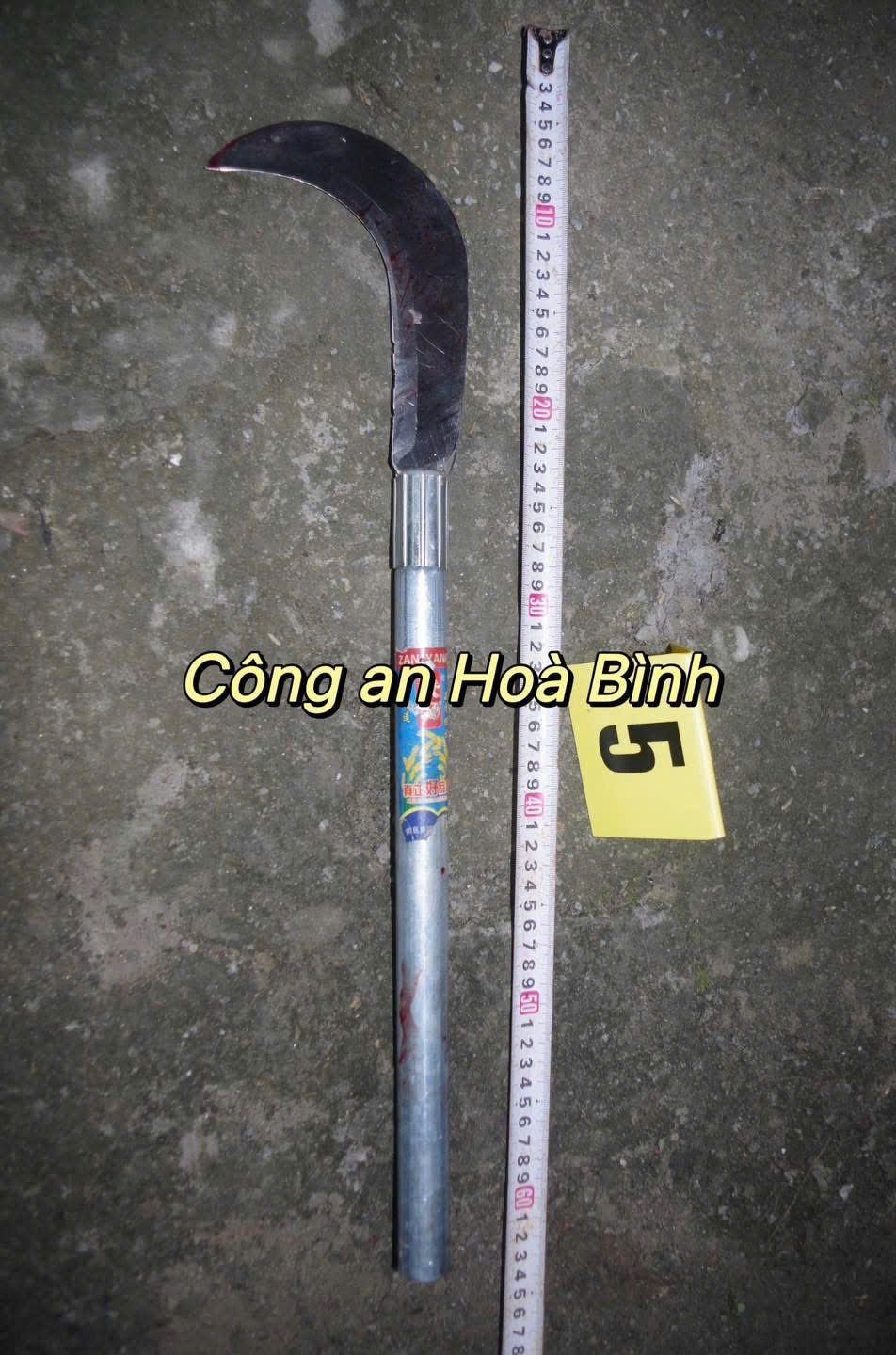 Hung khí dùng để sát hại mẹ vợ. Ảnh: Phòng Cảnh sát hình sự. Hung khí dùng để sát hại mẹ vợ. Ảnh: Phòng Cảnh sát hình sự.