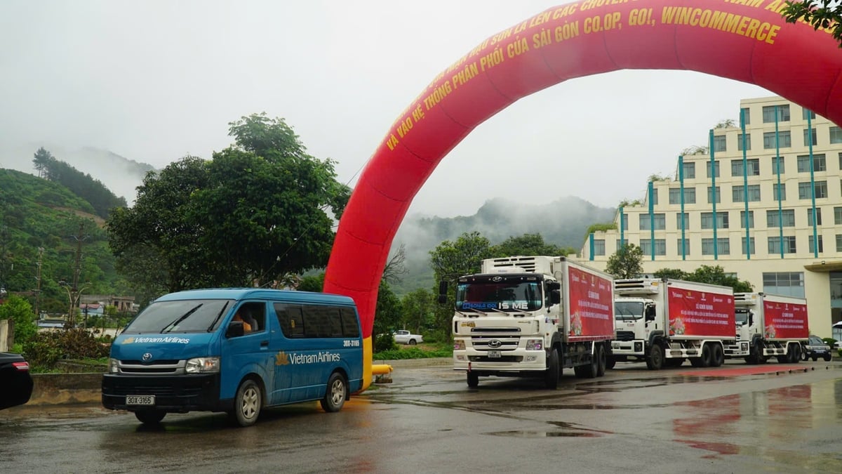 Những chuyến xe mang niềm tin về sự phát triển lớn mạnh cho nông sản Sơn La. Ảnh: Đức Bình. Những chuyến xe mang niềm tin về sự phát triển lớn mạnh cho nông sản Sơn La. Ảnh: Đức Bình.