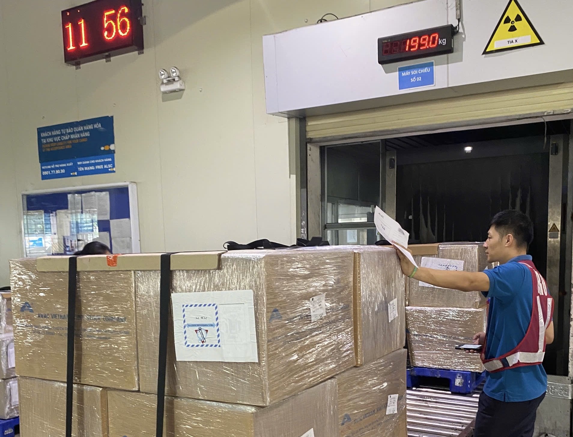 Lô vaccine AVAC ASF LIVE lần đầu tiên xuất ngoại tới Indonesia qua đường hàng không. Ảnh: DH. Lô vaccine AVAC ASF LIVE lần đầu tiên xuất ngoại tới Indonesia qua đường hàng không. Ảnh: DH.