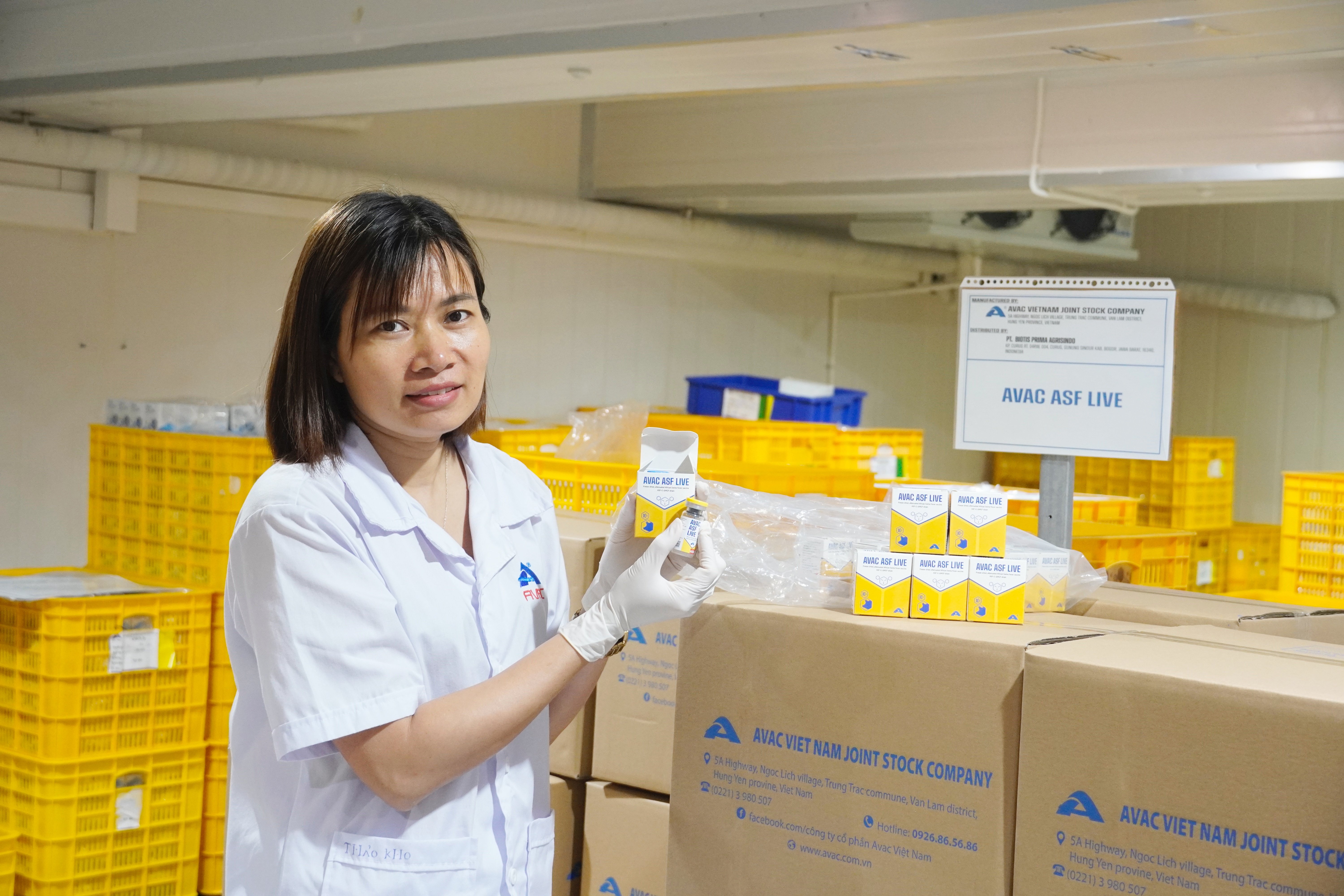 Hiện có gần 10 quốc gia đang trong quá trình đăng ký lưu hành vaccine AVAC ASF LIVE. Ảnh: Hồng Thắm. Hiện có gần 10 quốc gia đang trong quá trình đăng ký lưu hành vaccine AVAC ASF LIVE. Ảnh: Hồng Thắm.