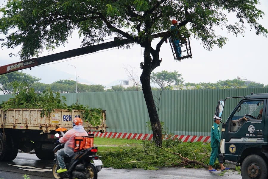 Lực lượng chức năng thực hiện cắt tỉa cây xanh ở Đà Nẵng. Ảnh: Lan Anh. Lực lượng chức năng thực hiện cắt tỉa cây xanh ở Đà Nẵng. Ảnh: Lan Anh.