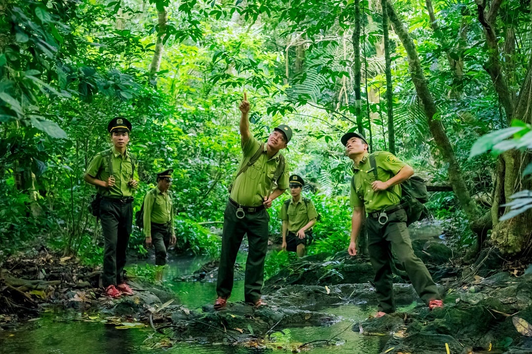 Kiểm lâm Vườn quốc gia Cúc Phương tuần tra. Kiểm lâm Vườn quốc gia Cúc Phương tuần tra.