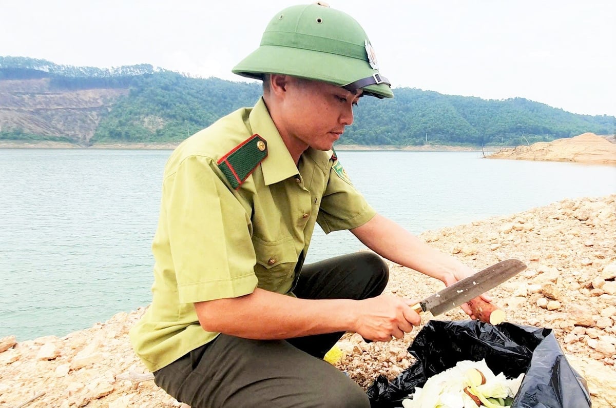 Giai đoạn đầu, khỉ chưa hoàn toàn thích nghi với môi trường mới nên cán bộ Vườn quốc gia Vũ Quang thường xuyên mang thức ăn đến để cung cấp cho đàn khỉ, dùng các thiết bị hiện đại để quan sát, theo dõi khả năng thích nghi của chúng. Giai đoạn đầu, khỉ chưa hoàn toàn thích nghi với môi trường mới nên cán bộ Vườn quốc gia Vũ Quang thường xuyên mang thức ăn đến để cung cấp cho đàn khỉ, dùng các thiết bị hiện đại để quan sát, theo dõi khả năng thích nghi của chúng.