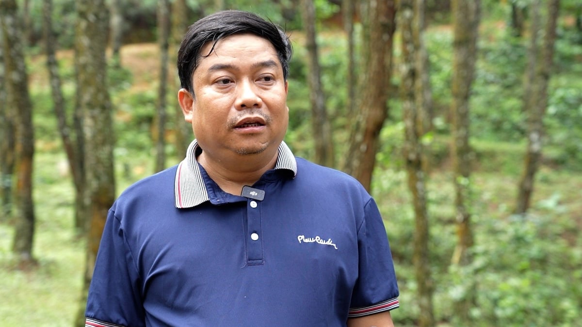 Mr. Dang Quang Trung, Director of Co De Chai Cooperative. 