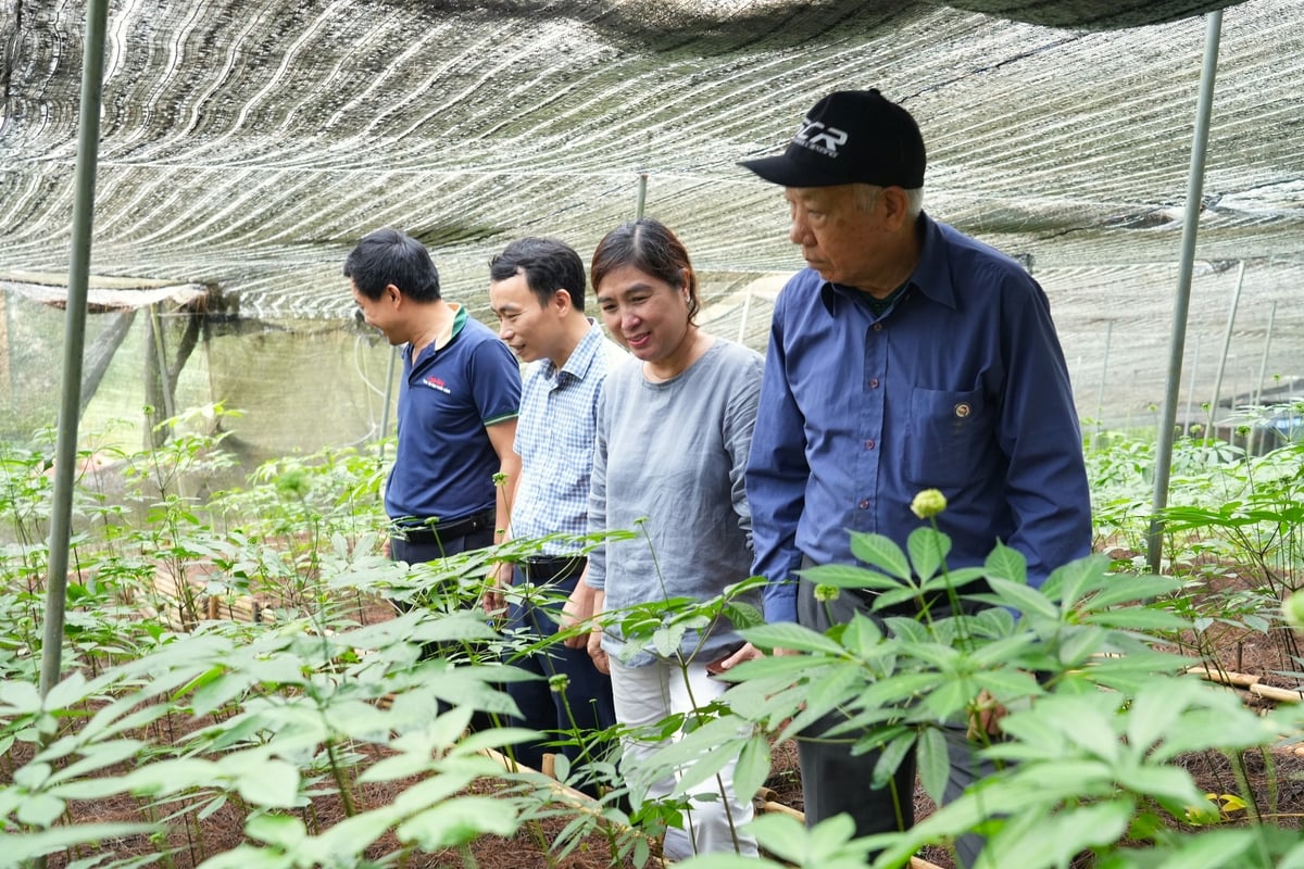 People here do farming to preserve land, to protect forests, to realize that survival comes not only from corn and rice, but from ancestral indigenous knowledge. 
