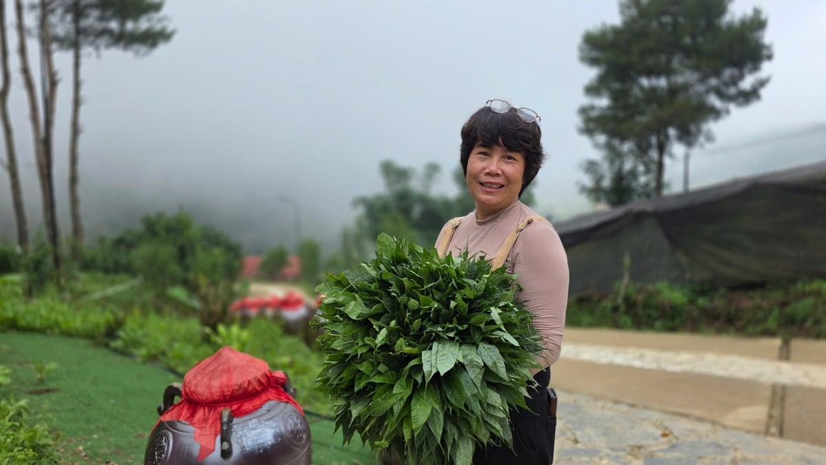 People here poured heart and intellect into preserving valuable medicinal plants, safeguarding local culture, and building sustainable livelihoods for highland communities.