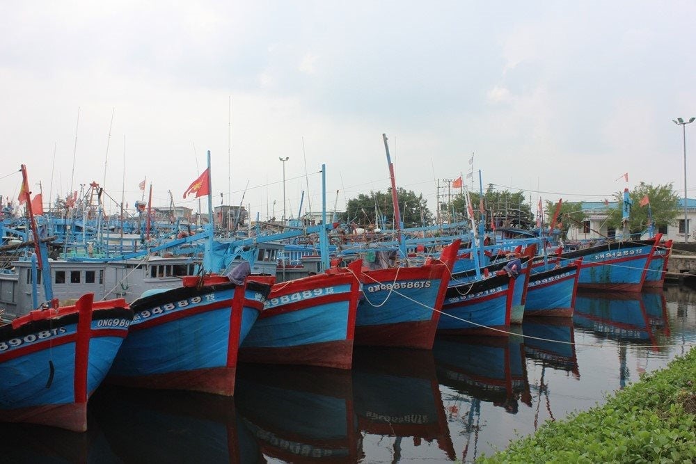 Tàu thuyền Quảng Ngãi đã vào khu neo đậu tại bến an toàn. Ảnh: Võ Hà. Tàu thuyền Quảng Ngãi đã vào khu neo đậu tại bến an toàn. Ảnh: Võ Hà.