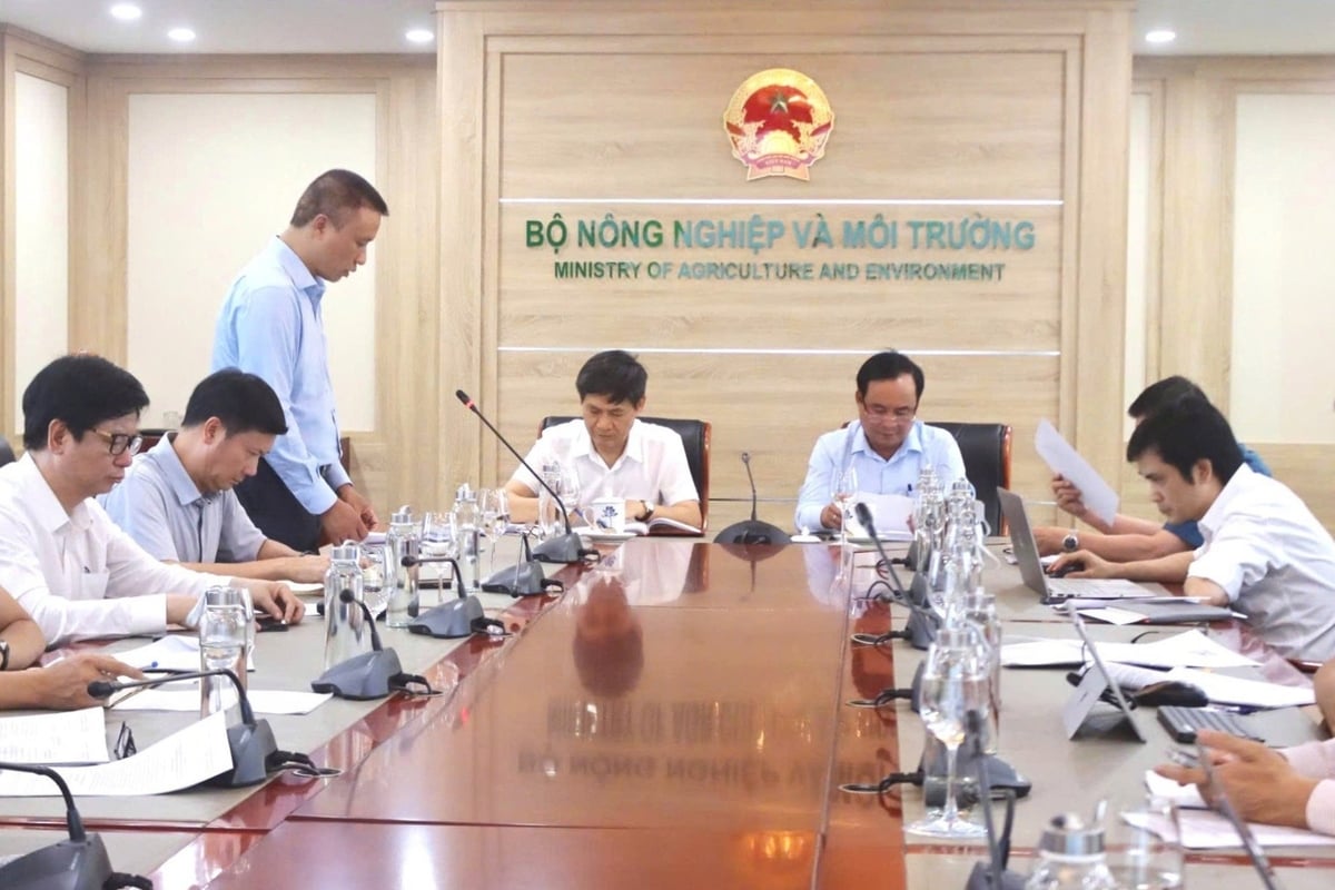 Một trong những vấn đề trọng tâm được bàn thảo tại hội nghị là định hướng chính sách hỗ trợ cần đi sâu vào các mũi nhọn then chốt. Ảnh: Hoàng Hiền. Một trong những vấn đề trọng tâm được bàn thảo tại hội nghị là định hướng chính sách hỗ trợ cần đi sâu vào các mũi nhọn then chốt. Ảnh: Hoàng Hiền.