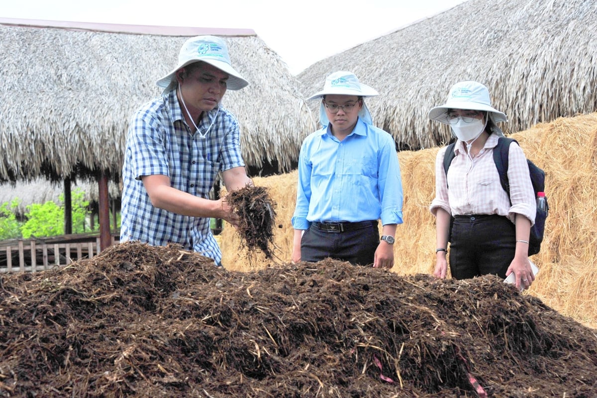 Nông dân từ các tổ hợp tác, hội quán, HTX cùng cán bộ chuyên ngành nông nghiệp cùng nhau tham gia lớp tập huấn kỹ thuật sản xuất phân hữu cơ truyền thống theo kinh nghiệm Nhật Bản. Ảnh: Lê Hoàng Vũ. Nông dân từ các tổ hợp tác, hội quán, HTX cùng cán bộ chuyên ngành nông nghiệp cùng nhau tham gia lớp tập huấn kỹ thuật sản xuất phân hữu cơ truyền thống theo kinh nghiệm Nhật Bản. Ảnh: Lê Hoàng Vũ.
