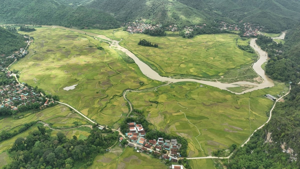 Cánh đồng lúa xã Quang Phong ngày nay. Ảnh: Đình Tiệp.