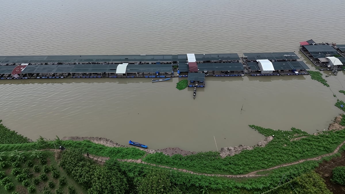 Đoạn sạt lở nghiêm trọng tại ấp An Hòa khiến đê bao bị vỡ, đe dọa an toàn và sinh kế người dân. Ảnh: Hồ Thảo. Đoạn sạt lở nghiêm trọng tại ấp An Hòa khiến đê bao bị vỡ, đe dọa an toàn và sinh kế người dân. Ảnh: Hồ Thảo.