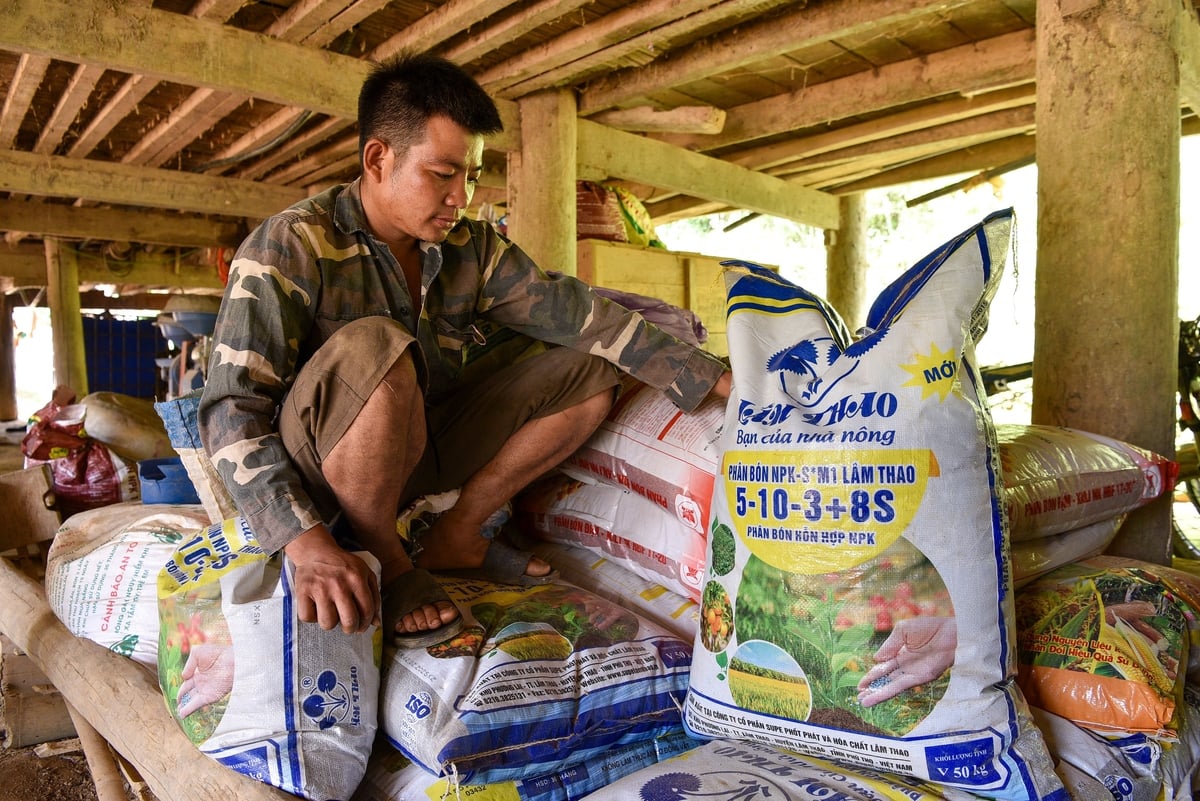 Phân bón Lâm Thao để dưới gầm nhà sàn của một hộ dân ở Sơn La. Ảnh: Đinh Thanh Huyền. Phân bón Lâm Thao để dưới gầm nhà sàn của một hộ dân ở Sơn La. Ảnh: Đinh Thanh Huyền.
