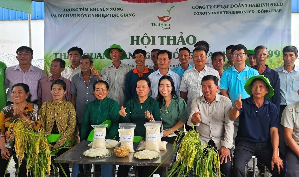 Các đại biểu tham gia hội thảo đánh giá giống lúa TB99 thích nghi với điều kiện sinh thái, thời tiết tại tỉnh Hậu Giang, có khả năng nhân rộng tại địa phương. Ảnh: Trung Chánh. Các đại biểu tham gia hội thảo đánh giá giống lúa TB99 thích nghi với điều kiện sinh thái, thời tiết tại tỉnh Hậu Giang, có khả năng nhân rộng tại địa phương. Ảnh: Trung Chánh.