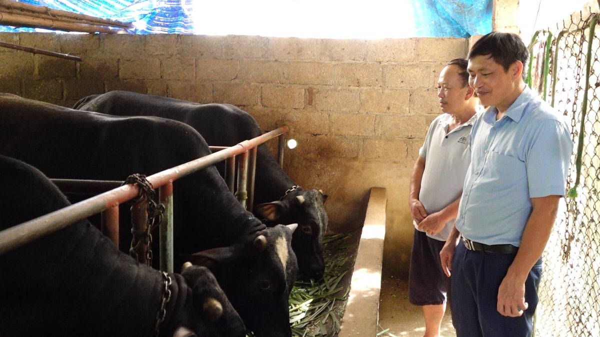 Mô hình chăn nuôi tuần hoàn tại gia đình ông Nguyễn Ngọc Chung ở xóm Cà Phê, xã Minh Lập, huyện Đồng Hỷ. Ảnh: Quang Linh. Mô hình chăn nuôi tuần hoàn tại gia đình ông Nguyễn Ngọc Chung ở xóm Cà Phê, xã Minh Lập, huyện Đồng Hỷ. Ảnh: Quang Linh.