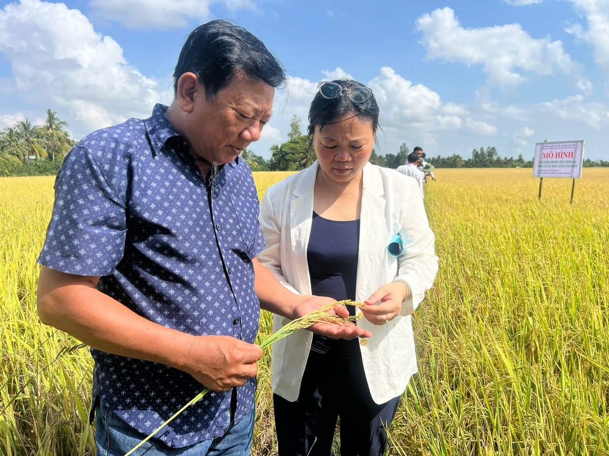 Bà Bùi Thị Hồng Hà, Trưởng phòng Vi sinh nông nghiệp, Trung tâm Nông nghiệp hữu cơ (Học viện Nông nghiệp Việt Nam) tại cánh đồng gia đình ông Trần Văn Ngổ. Ảnh: Trọng Linh. Bà Bùi Thị Hồng Hà, Trưởng phòng Vi sinh nông nghiệp, Trung tâm Nông nghiệp hữu cơ (Học viện Nông nghiệp Việt Nam) tại cánh đồng gia đình ông Trần Văn Ngổ. Ảnh: Trọng Linh.