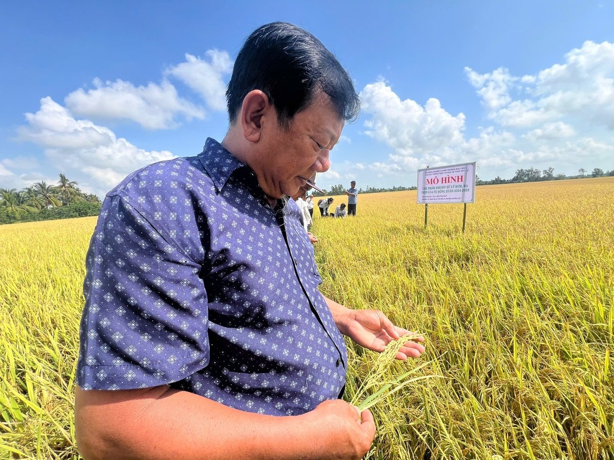 Ông Ngỗ hài lòng với kết quả đạt được sau lần đầu sử dụng chế phẩm AMUNIV. Ảnh: Trọng Linh. Ông Ngỗ hài lòng với kết quả đạt được sau lần đầu sử dụng chế phẩm AMUNIV. Ảnh: Trọng Linh.