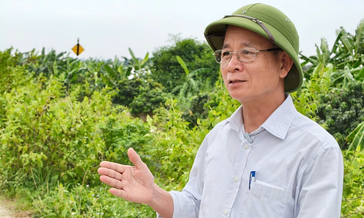 Ông Luyện: 'Chưa bao giờ tôi nghĩ đời mình lại gắn bó trọn vẹn với những con đê như thế'. Ảnh: Bảo Thắng. Ông Luyện: 'Chưa bao giờ tôi nghĩ đời mình lại gắn bó trọn vẹn với những con đê như thế'. Ảnh: Bảo Thắng.