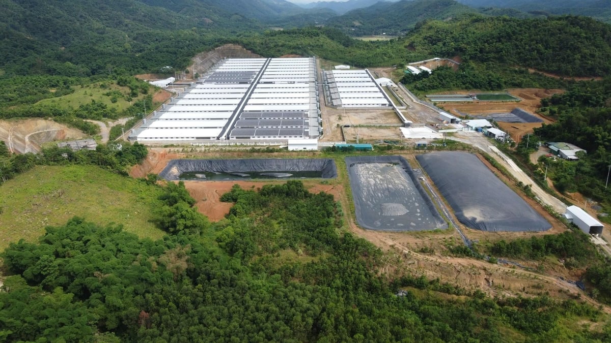 Trang trại lợn của Công ty Agri-Vina tiếp tục phát tán mùi hôi sau 2 tháng hoạt động lại. Ảnh: Thanh Tâm. Trang trại lợn của Công ty Agri-Vina tiếp tục phát tán mùi hôi sau 2 tháng hoạt động lại. Ảnh: Thanh Tâm.