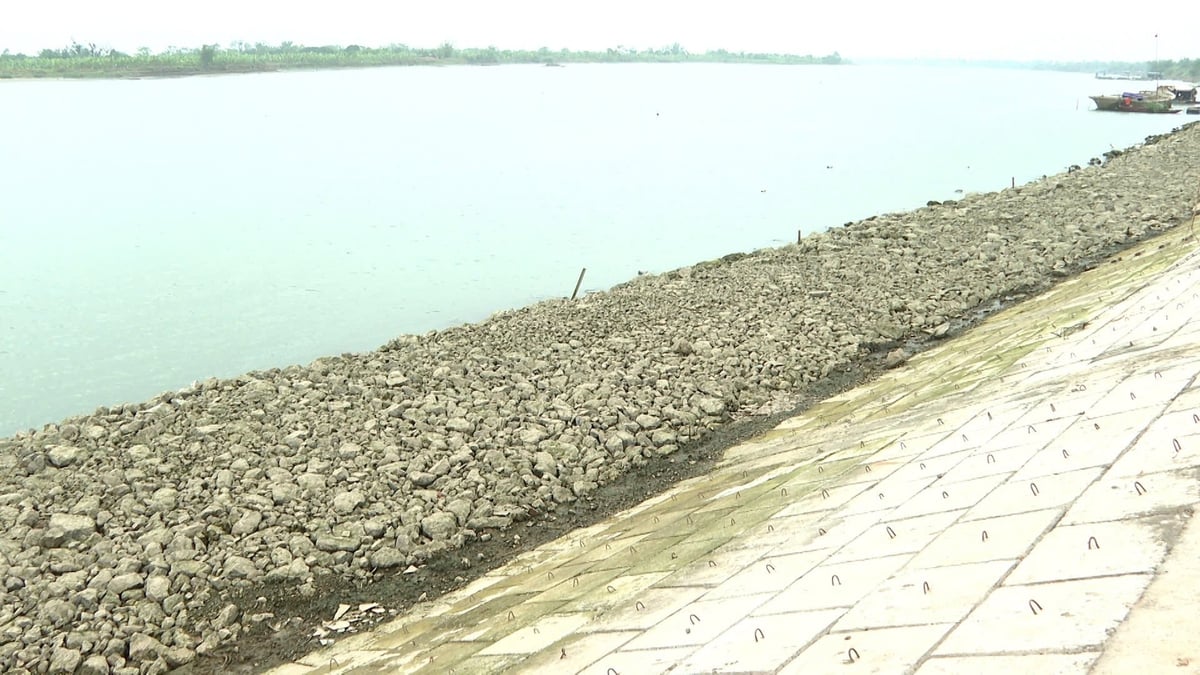 Việc tu bổ mái đê cũng như kiểm tra mặt đê, các lỗ rò rỉ... phải thực hiện thường xuyên. Ảnh: Phạm Hiếu. Việc tu bổ mái đê cũng như kiểm tra mặt đê, các lỗ rò rỉ... phải thực hiện thường xuyên. Ảnh: Phạm Hiếu.