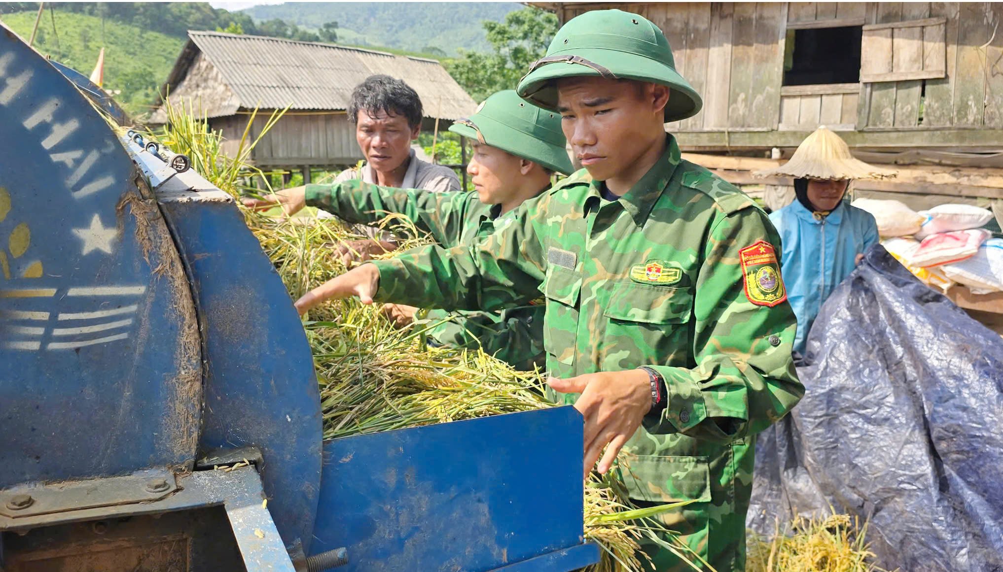 Bộ đội cùng tuốt lúa với bà con. Ảnh: T. Đức. Bộ đội cùng tuốt lúa với bà con. Ảnh: T. Đức.