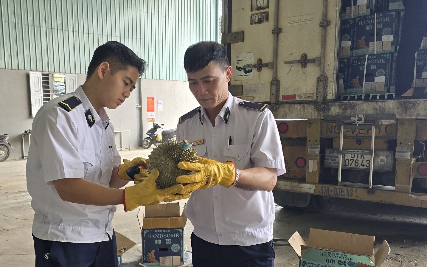 Việc kiểm dịch thực vật tại các cửa khẩu vừa đảm bảo an toàn dịch tễ, vừa đáp ứng yêu cầu khắt khe của các thị trường nhập khẩu về an toàn thực phẩm. Ảnh: Hoàng Nghĩa. Việc kiểm dịch thực vật tại các cửa khẩu vừa đảm bảo an toàn dịch tễ, vừa đáp ứng yêu cầu khắt khe của các thị trường nhập khẩu về an toàn thực phẩm. Ảnh: Hoàng Nghĩa.