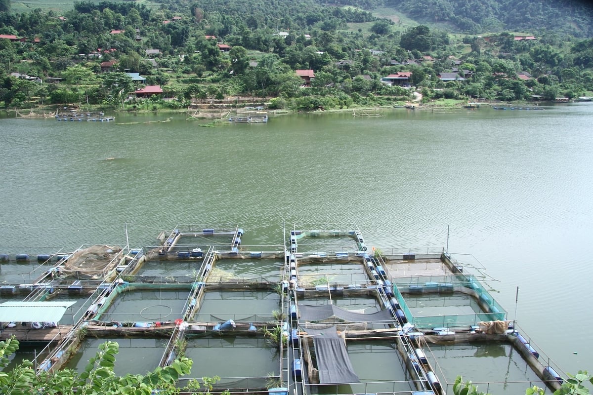 Sơn La đề nghị các địa phương triển khai các giải pháp chủ động ứng phó do thay đổi mực nước trong quá trình vận hành hồ chứa thủy điện Hòa Bình đầu mùa lũ năm 2025. Ảnh: Nguyễn Nga. Sơn La đề nghị các địa phương triển khai các giải pháp chủ động ứng phó do thay đổi mực nước trong quá trình vận hành hồ chứa thủy điện Hòa Bình đầu mùa lũ năm 2025. Ảnh: Nguyễn Nga.