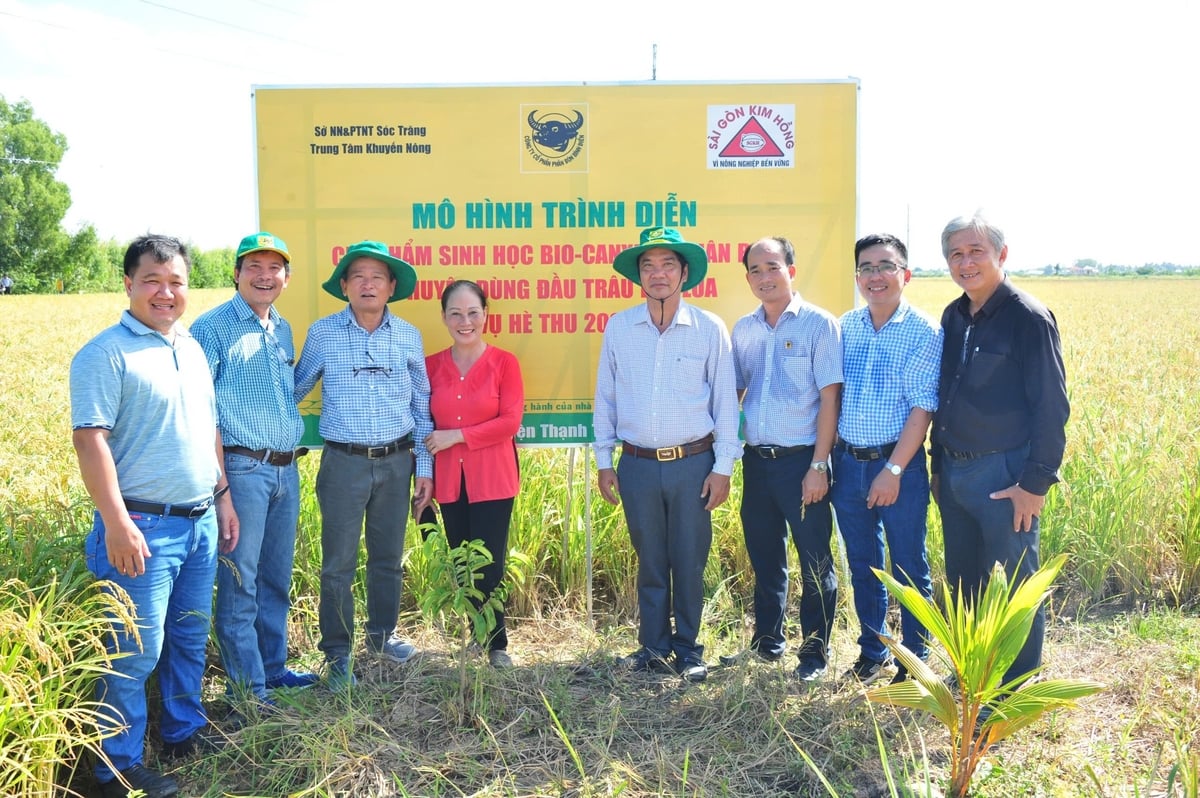 Bình Điền đã ứng dụng vi sinh vật dạng bào tử bọc áo cho các loại phân vô cơ như Canxi, NPK+TE… tạo nên các dòng sản phẩm mới Bio-Canxi, NPK-Vi sinh. Ảnh: Ngọc Vân. Bình Điền đã ứng dụng vi sinh vật dạng bào tử bọc áo cho các loại phân vô cơ như Canxi, NPK+TE… tạo nên các dòng sản phẩm mới Bio-Canxi, NPK-Vi sinh. Ảnh: Ngọc Vân.