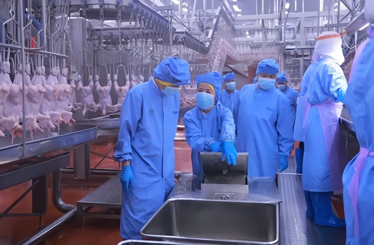 Đoàn tiến hành kiểm tra tại khu vực giết mổ, sơ chế, chế biến và đóng gói của Công ty CVP Food Bình Phước. Ảnh: CTV. Đoàn tiến hành kiểm tra tại khu vực giết mổ, sơ chế, chế biến và đóng gói của Công ty CVP Food Bình Phước. Ảnh: CTV.