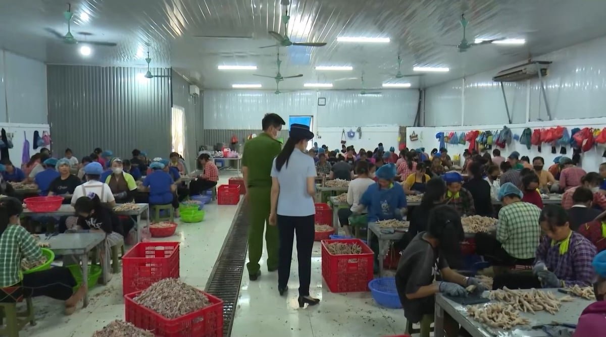 Thời điểm kiểm tra, ngành chức năng phát hiện hàng chục công nhân đang chế biến chân gà tại xưởng. Ảnh: AQ. Thời điểm kiểm tra, ngành chức năng phát hiện hàng chục công nhân đang chế biến chân gà tại xưởng. Ảnh: AQ.