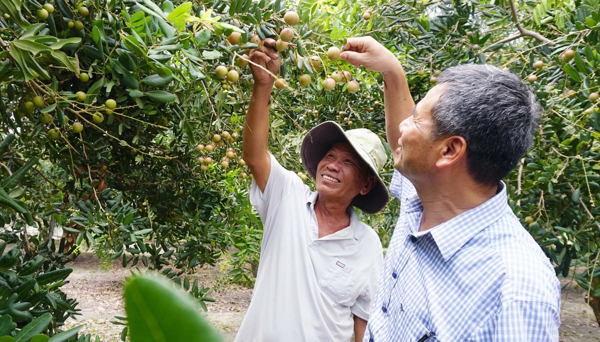 Nhiều mô hình sản xuất nông nghiệp của Bà Rịa - Vũng Tàu dần đi vào bài bản, liên kết chuỗi và cho giá trị kinh tế cao. Ảnh: Lê Bình. Nhiều mô hình sản xuất nông nghiệp của Bà Rịa - Vũng Tàu dần đi vào bài bản, liên kết chuỗi và cho giá trị kinh tế cao. Ảnh: Lê Bình.