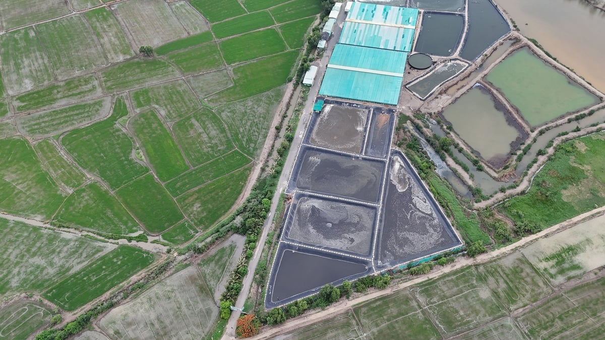 HTX Nông nghiệp Quyết Thắng (thành phố Bà Rịa) là một trong những mô hình kinh tế tập thể điển hình của tỉnh. Ảnh: Lê Bình. HTX Nông nghiệp Quyết Thắng (thành phố Bà Rịa) là một trong những mô hình kinh tế tập thể điển hình của tỉnh. Ảnh: Lê Bình.