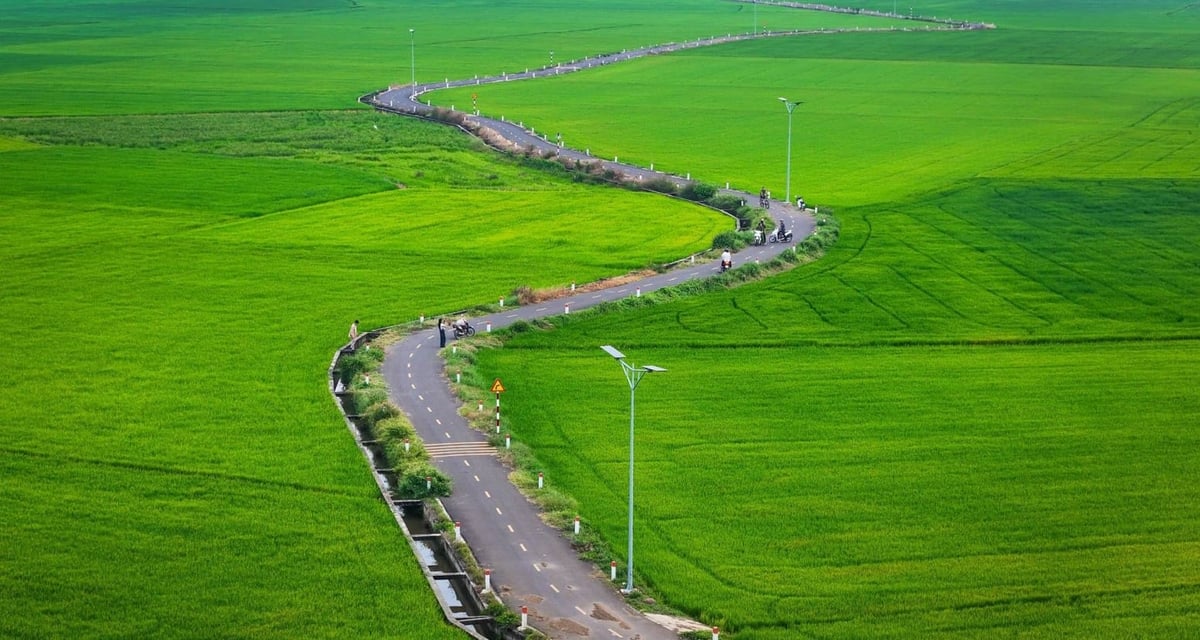 Những cánh đồng lúa tại Bà Rịa - Vũng Tàu được cứng hóa với hệ thống kênh mương, hệ thống chiếu sáng hoàn thiện. Ảnh: UBND BRVT. Những cánh đồng lúa tại Bà Rịa - Vũng Tàu được cứng hóa với hệ thống kênh mương, hệ thống chiếu sáng hoàn thiện. Ảnh: UBND BRVT.