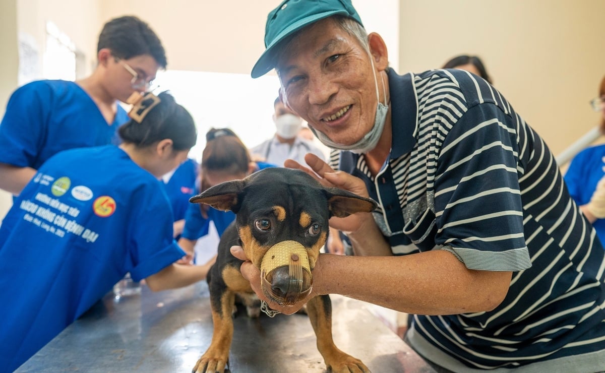 Nhờ chương trình phòng chống bệnh dại, tỉ lệ tiêm phòng vật nuôi được nâng lên, ý thức phòng chống dại của cộng đồng cũng được củng cố. Ảnh: LB. Nhờ chương trình phòng chống bệnh dại, tỉ lệ tiêm phòng vật nuôi được nâng lên, ý thức phòng chống dại của cộng đồng cũng được củng cố. Ảnh: LB.