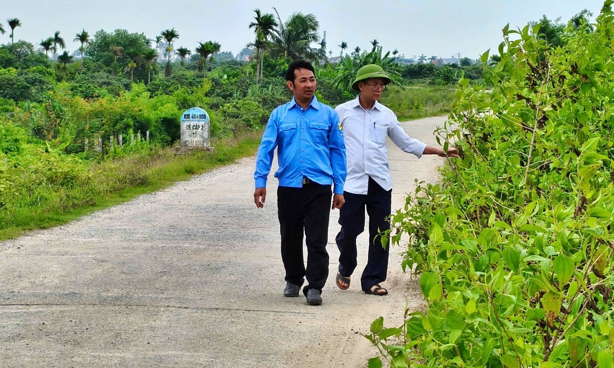 Anh Tươi (áo xanh) cùng ông Đặng Văn Luyện đi kiểm tra đê. Ảnh: Bảo Thắng. Anh Tươi (áo xanh) cùng ông Đặng Văn Luyện đi kiểm tra đê. Ảnh: Bảo Thắng.