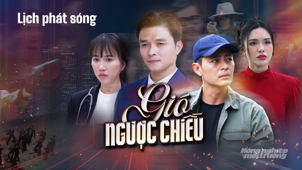 Thông tin chi tiết về lịch chiếu bộ phim Gió ngược chiều trên kênh THVL1