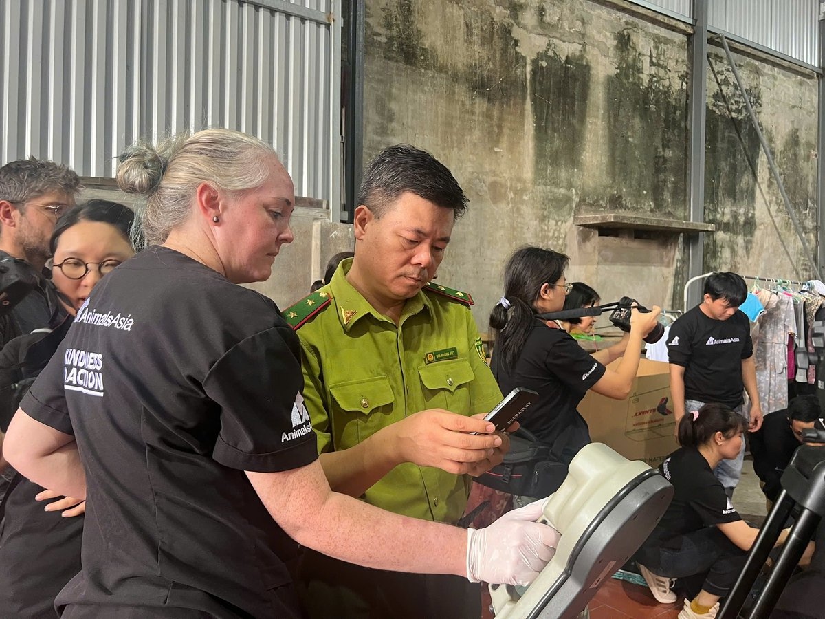 Cán bộ kiểm lâm phối hợp với Tổ chức Động vật châu Á cứu hộ thành công cá thể gấu ngựa Smokey. Ảnh: AA. Cán bộ kiểm lâm phối hợp với Tổ chức Động vật châu Á cứu hộ thành công cá thể gấu ngựa Smokey. Ảnh: AA.