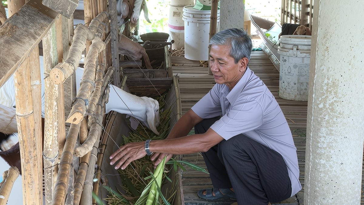 Người dân được hướng dẫn kỹ thuật chăn nuôi và cách cho dê ăn theo khẩu phần hợp lý. Ảnh: Hồ Thảo. Người dân được hướng dẫn kỹ thuật chăn nuôi và cách cho dê ăn theo khẩu phần hợp lý. Ảnh: Hồ Thảo.