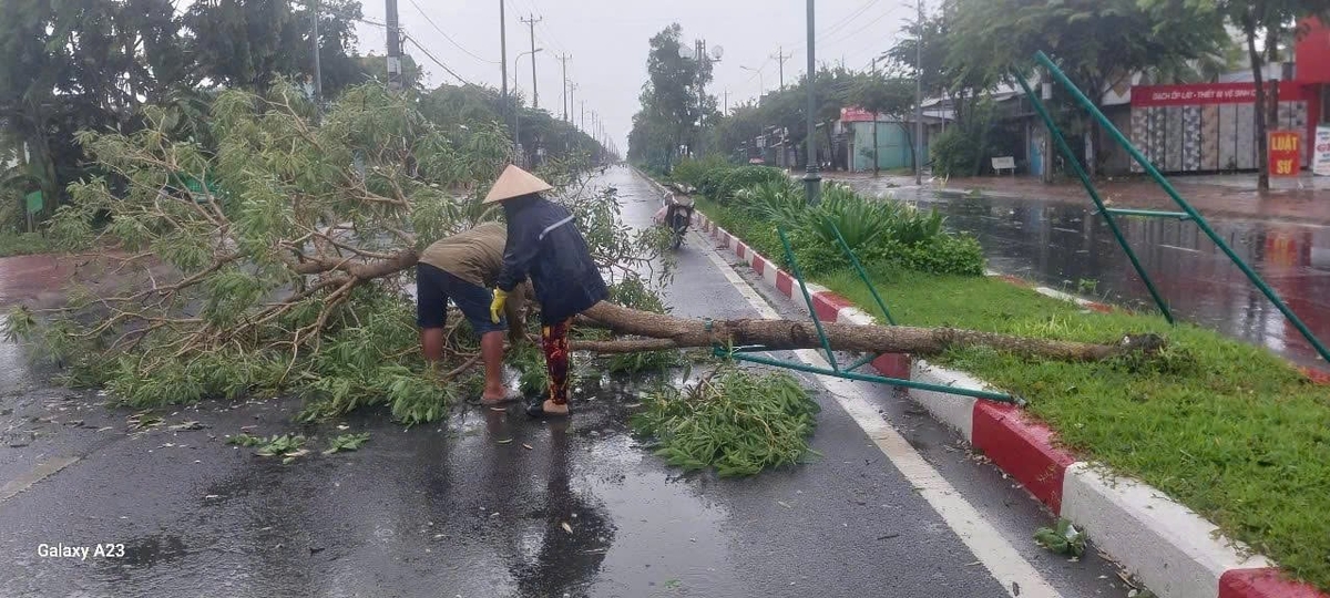 Mưa dông làm cây xanh bên đường bị đổ. Ảnh: Trọng Linh.