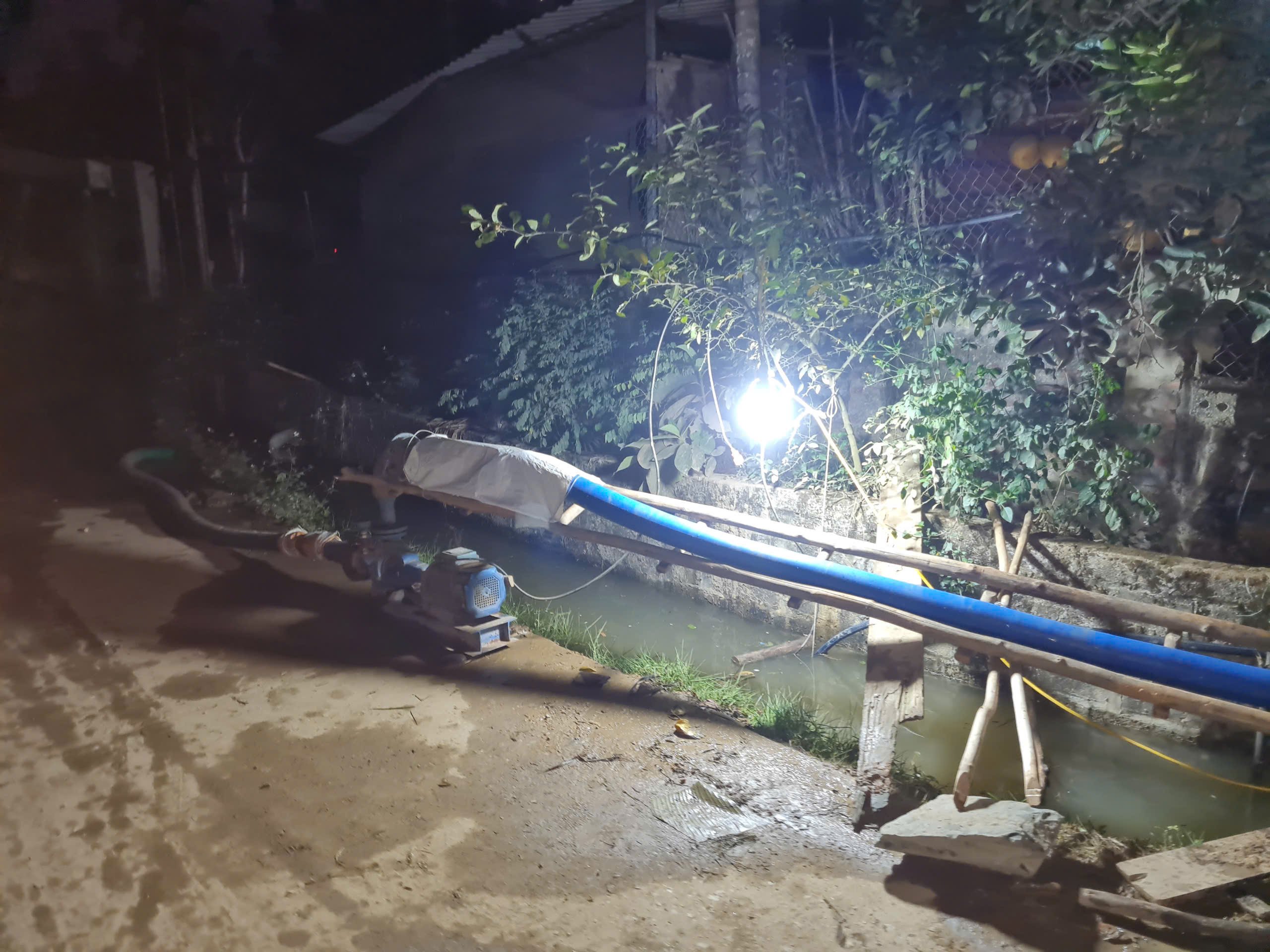 Công ty TNHH Tân Phú và các hộ dân phải bơm nước ngày đêm để gieo cấy vụ đông xuân. Ảnh: Thanh Tiến. Công ty TNHH Tân Phú và các hộ dân phải bơm nước ngày đêm để gieo cấy vụ đông xuân. Ảnh: Thanh Tiến.